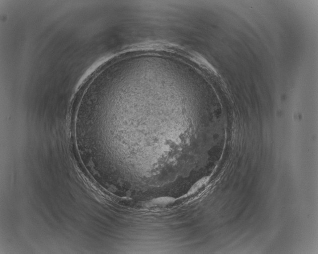 X0000084531216200703091619