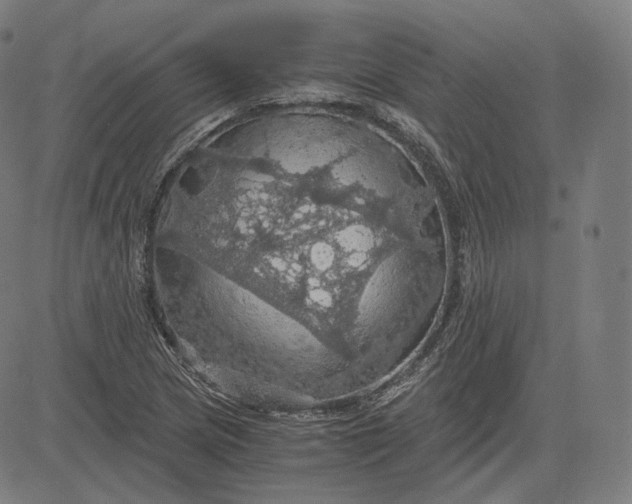 X0000084531217200703091619