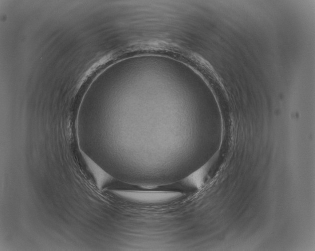 X0000084531218200703091619