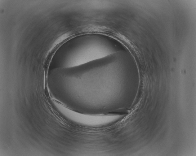 X0000084531219200703091619