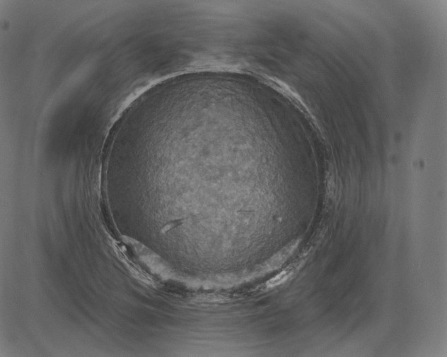 X0000084531220200703091619