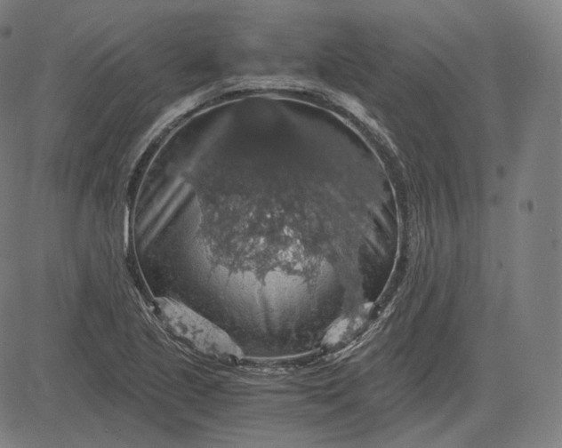 X0000084531221200703091619