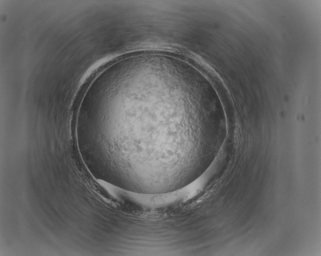 X0000084531222200703091619