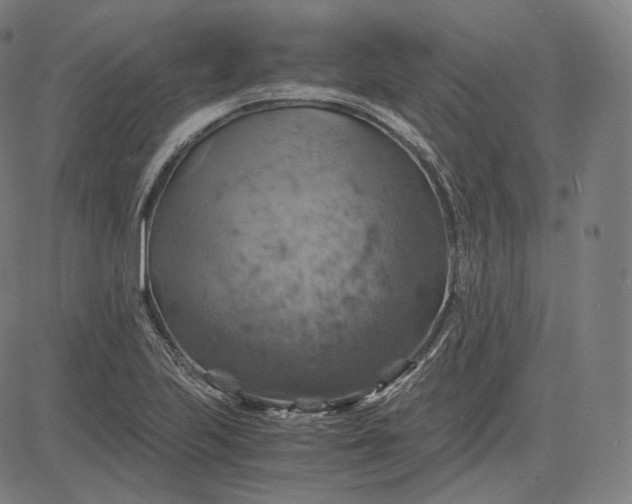 X0000084531223200703091619