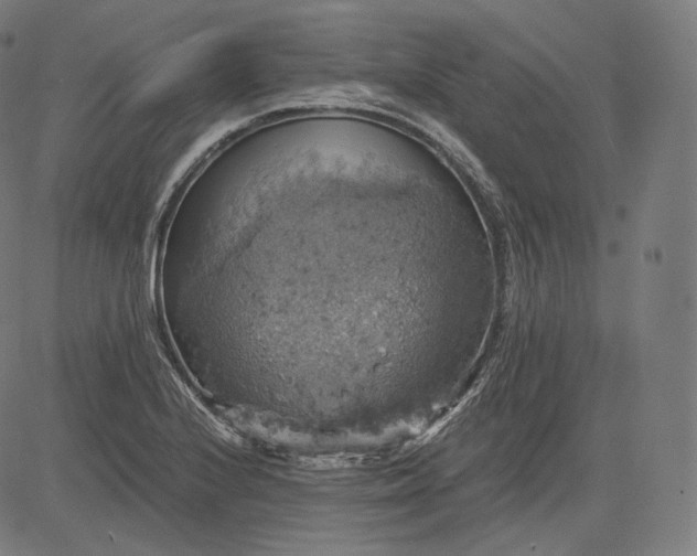 X0000084531224200703091619