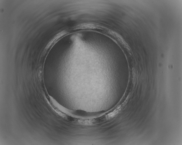 X0000084531225200703091619