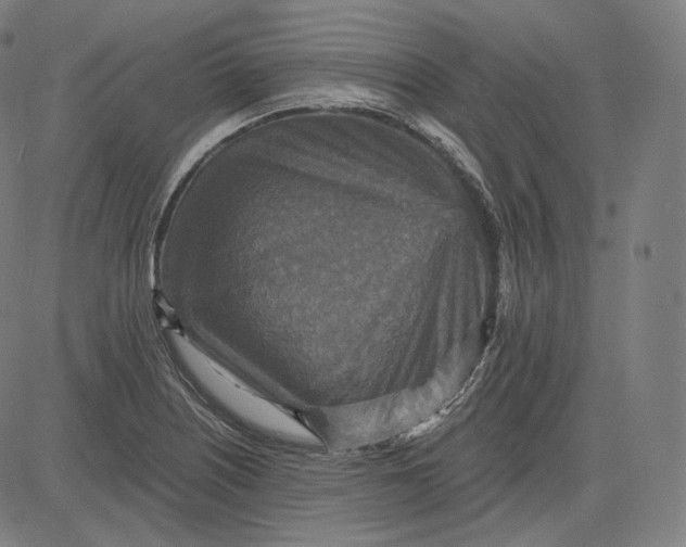 X0000084531226200703091619