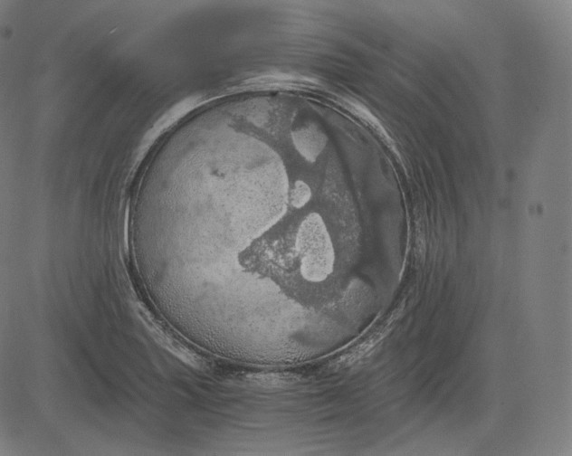 X0000084531227200703091619