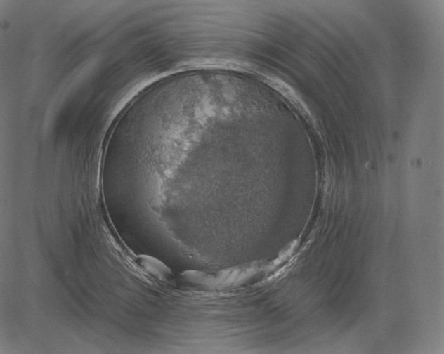 X0000084531228200703091619