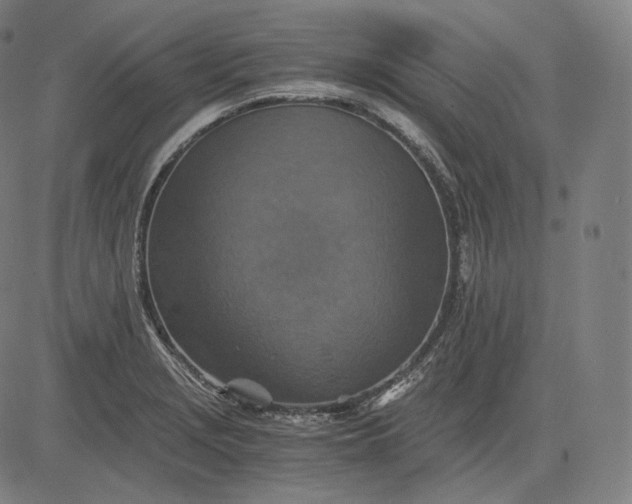 X0000084531229200703091619