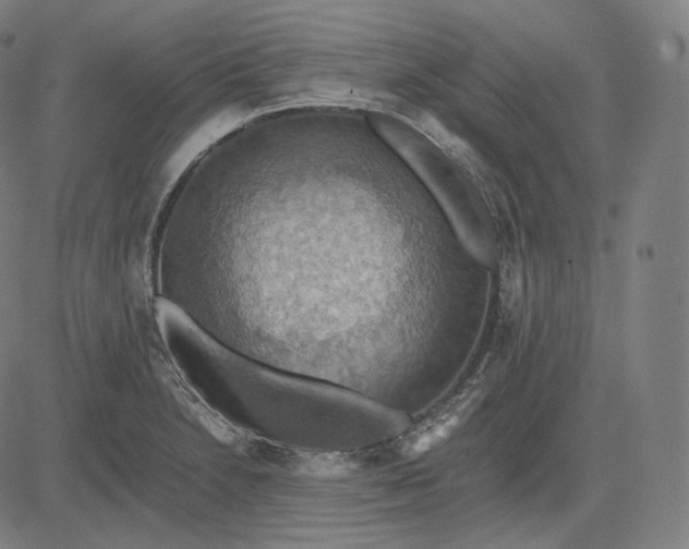 X0000084531230200703091619