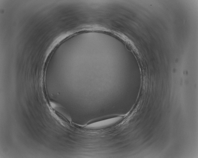 X0000084531231200703091619