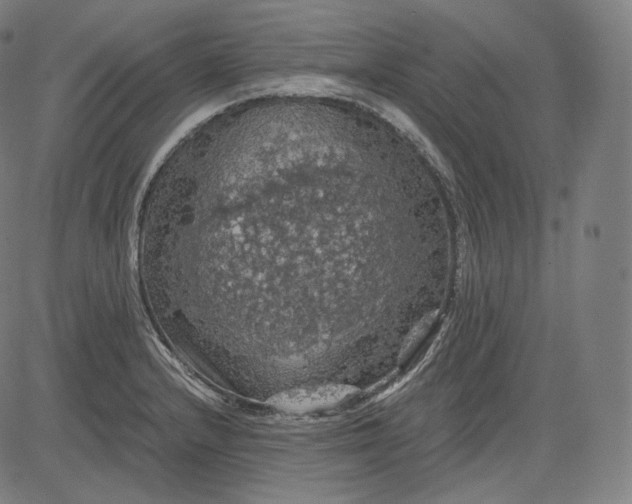 X0000084531232200703091619