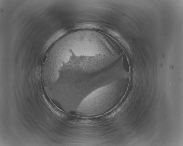 X0000084531233200703091619