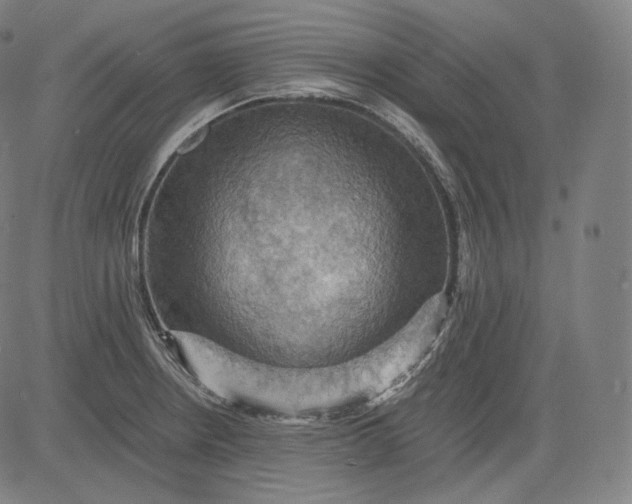 X0000084531234200703091619