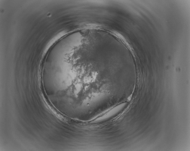 X0000084531235200703091619