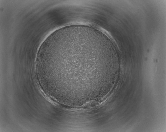 X0000084531236200703091619