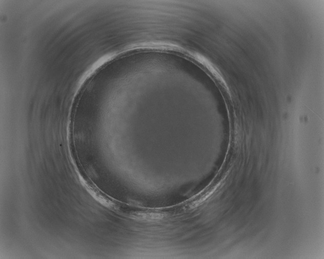 X0000084531237200703091620