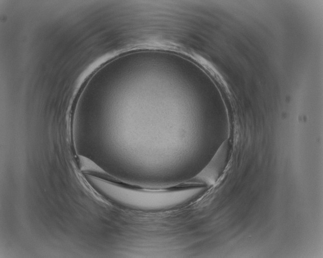 X0000084531238200703091620