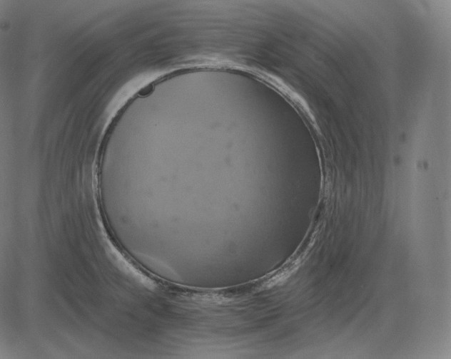 X0000084531239200703091620