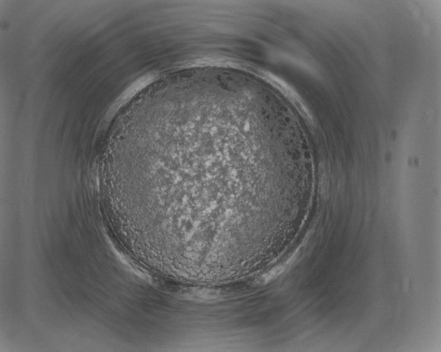 X0000084531241200703091620