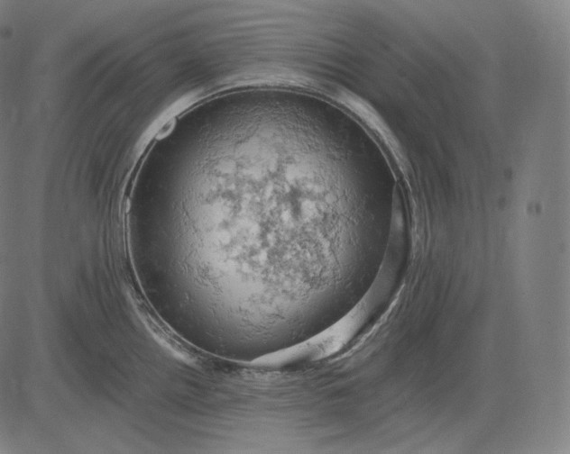 X0000084531242200703091620