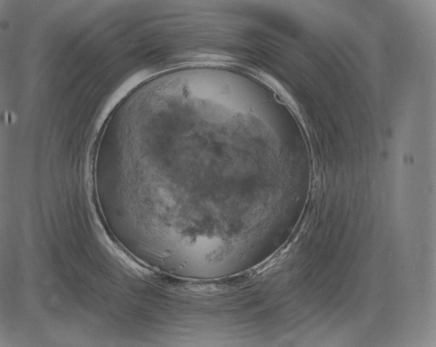 X0000084531243200703091620