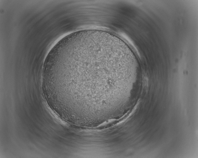 X0000084531244200703091620