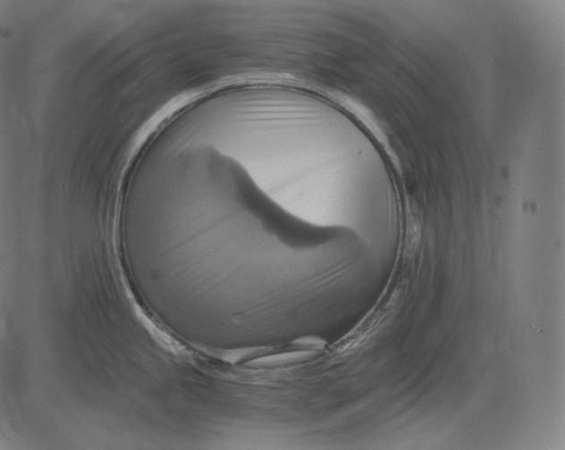 X0000084531245200703091620