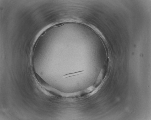 X0000084531246200703091620