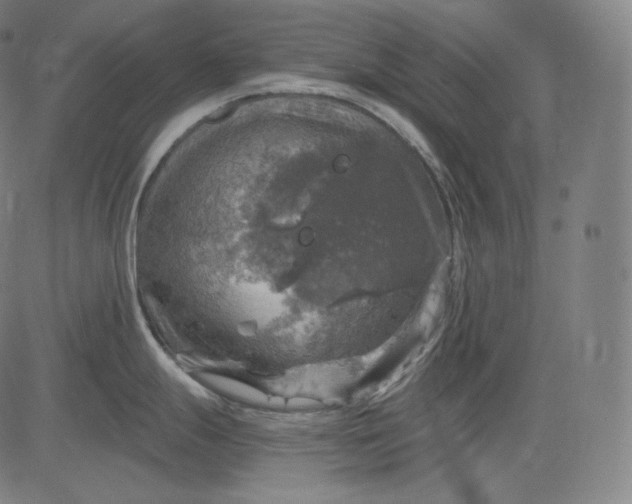 X0000084531247200703091620