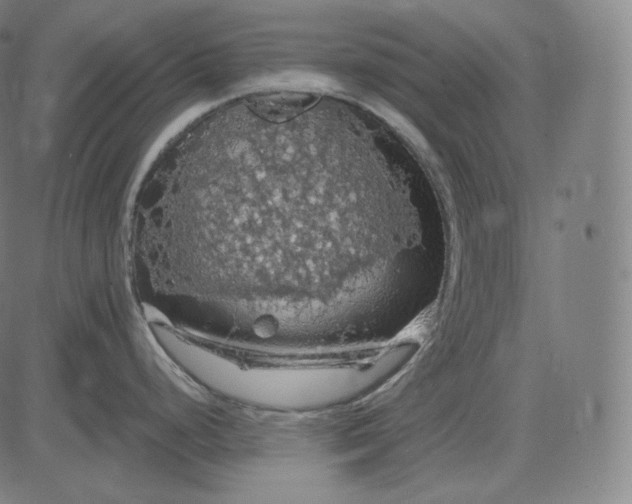 X0000084531248200703091620