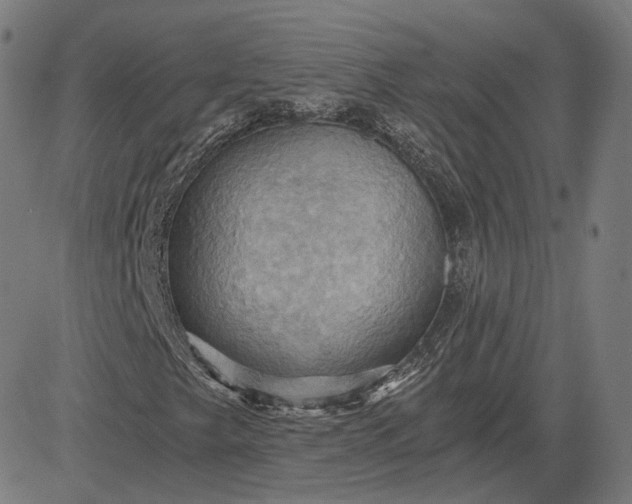 X0000084531249200703091619