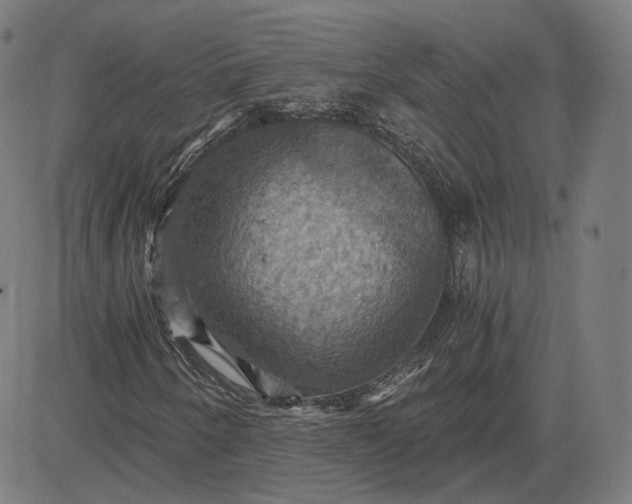 X0000084531250200703091619