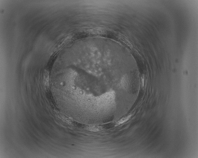 X0000084531251200703091619