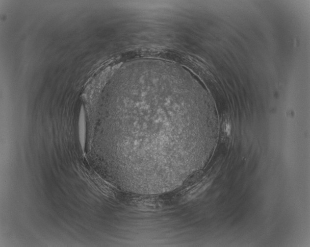 X0000084531252200703091619