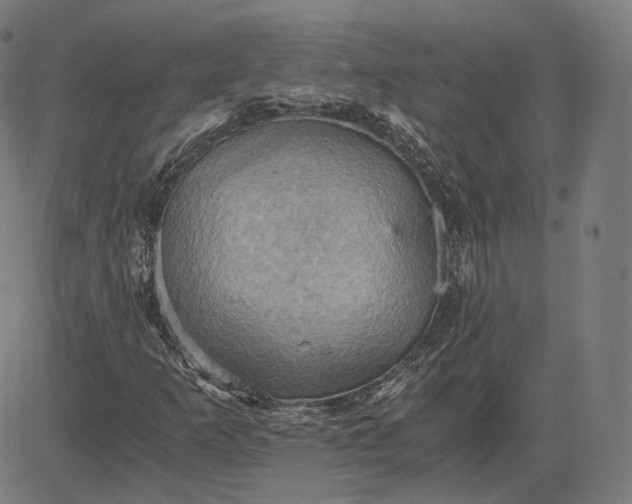 X0000084531253200703091619