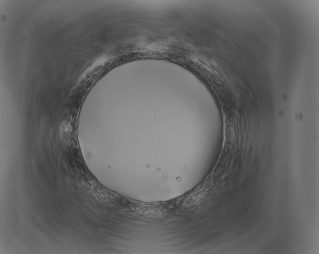 X0000084531254200703091619