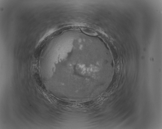 X0000084531255200703091619