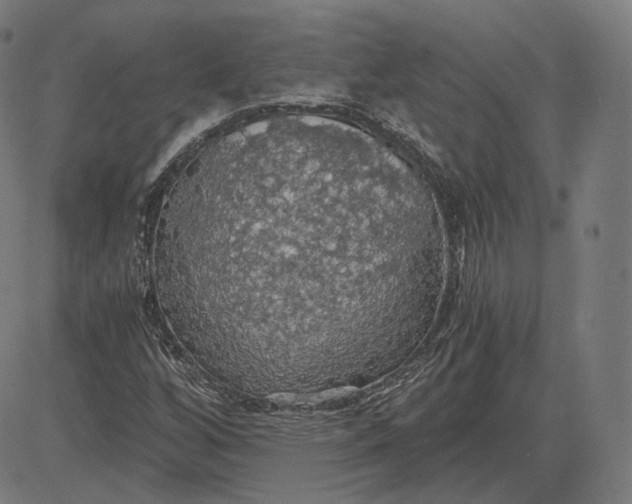 X0000084531256200703091619