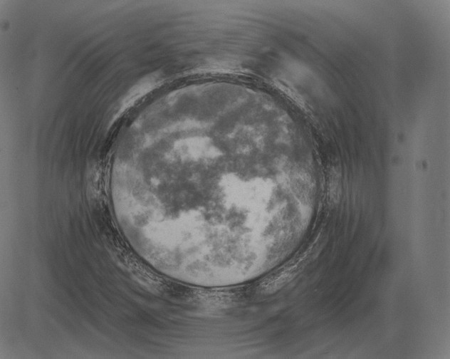 X0000084531258200703091619