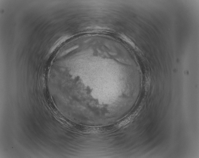 X0000084531259200703091619