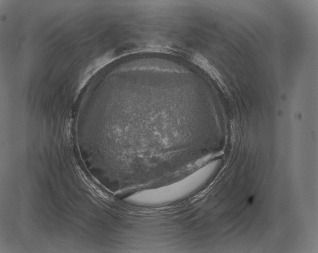 X0000084531260200703091619