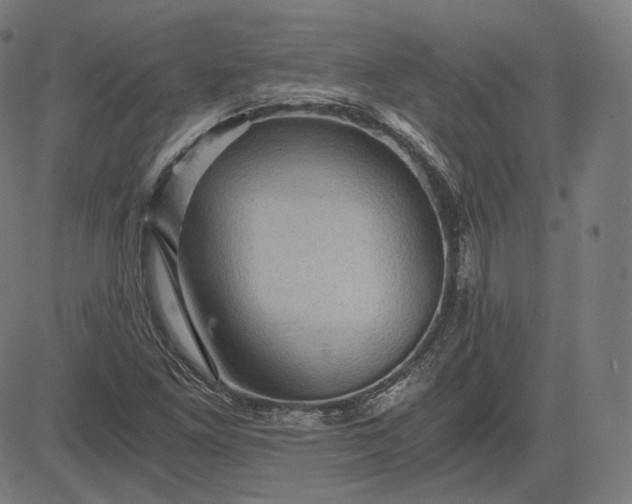 X0000084531261200703091619