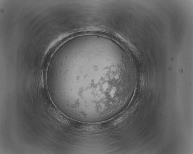 X0000084531262200703091619