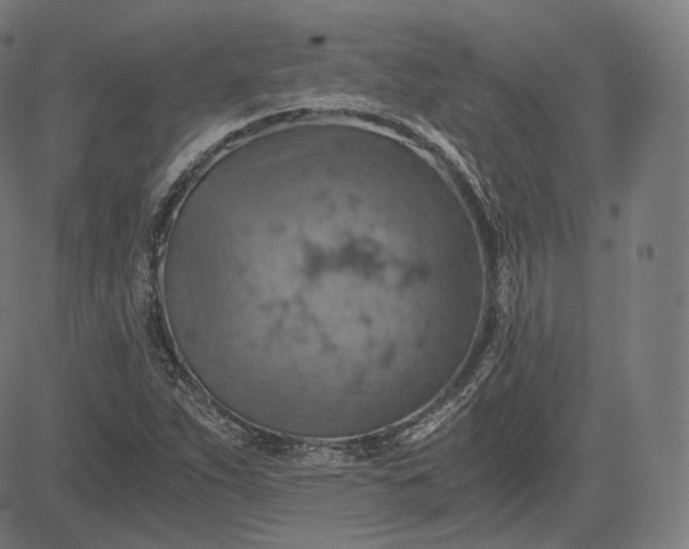 X0000084531263200703091619