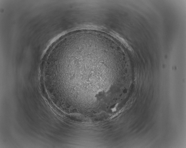 X0000084531264200703091619