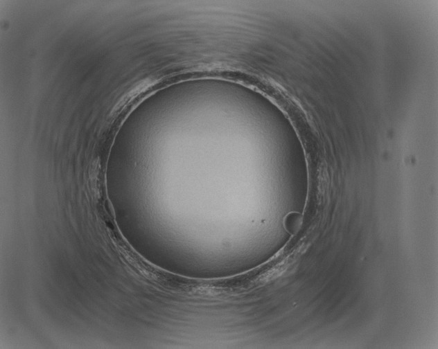 X0000084531265200703091619