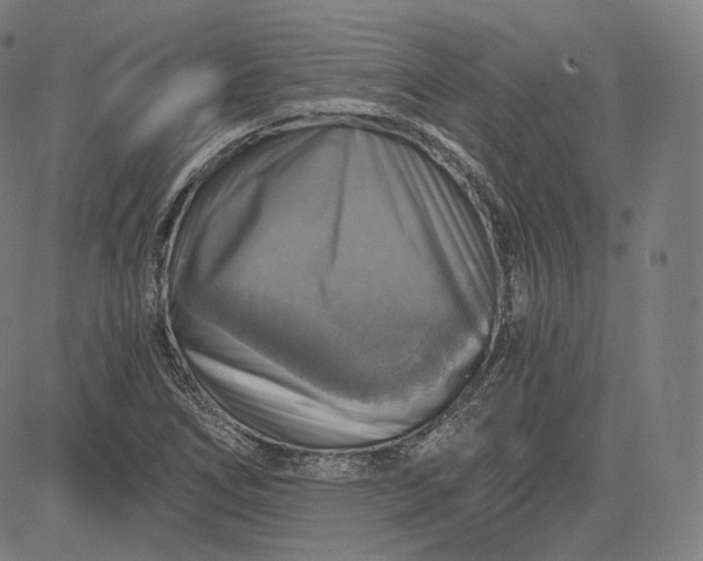 X0000084531266200703091619