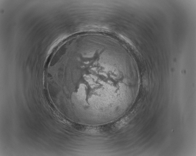 X0000084531267200703091619